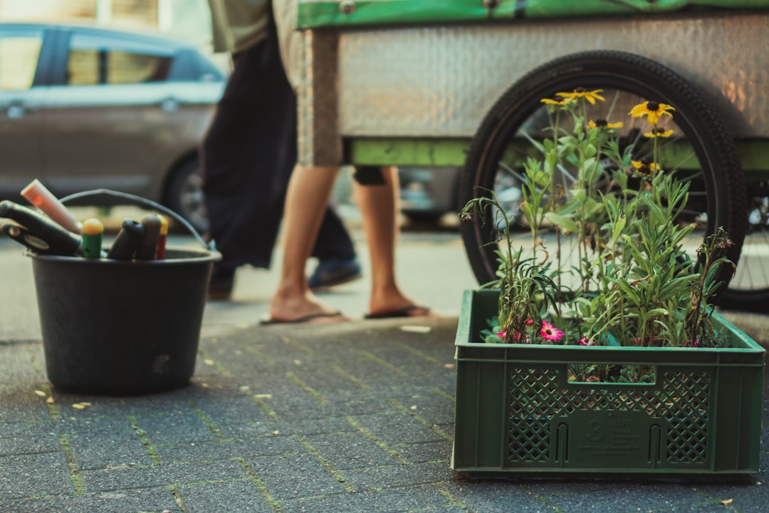 Urban Gardening: Best Gear to Maximize Your Space