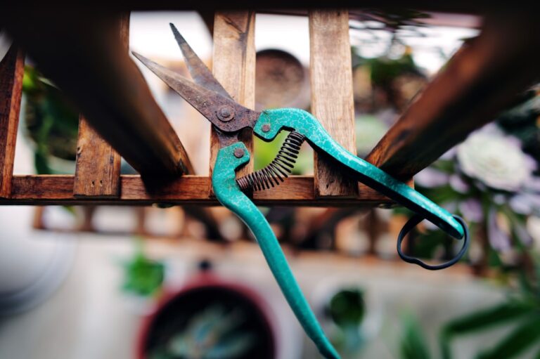 How to Select the Right Gear for Your Garden Needs