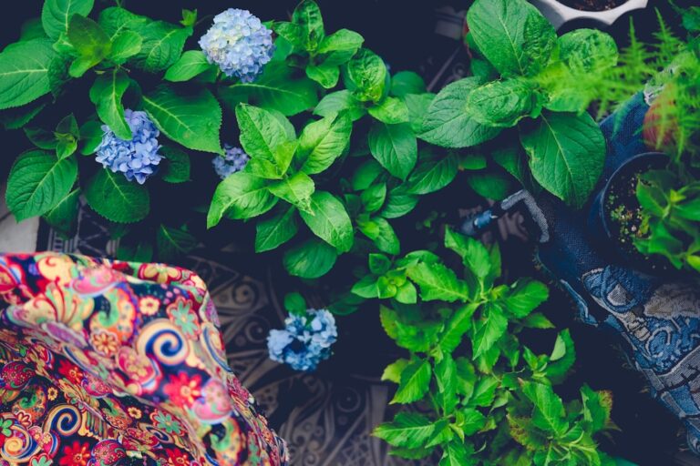 Eco-Friendly Gardening Products You Should Consider Today