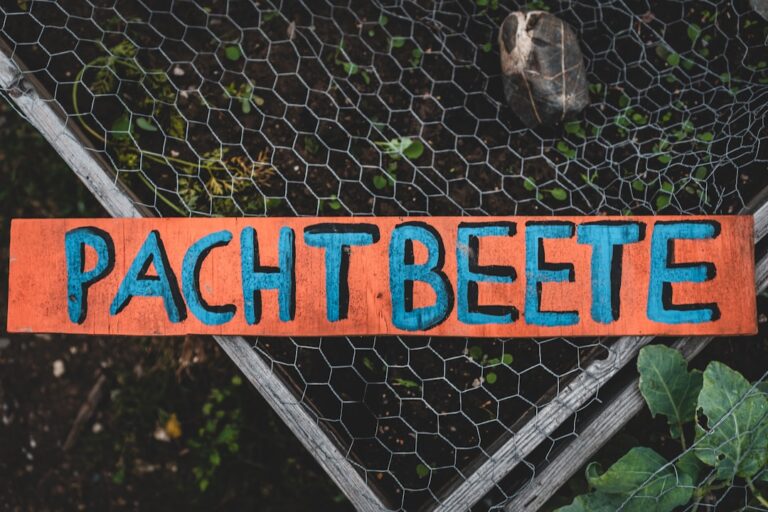 Enhance Your Gardening Experience with These Essential Tools